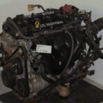 13154ENG