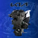 LDR-5-800x800